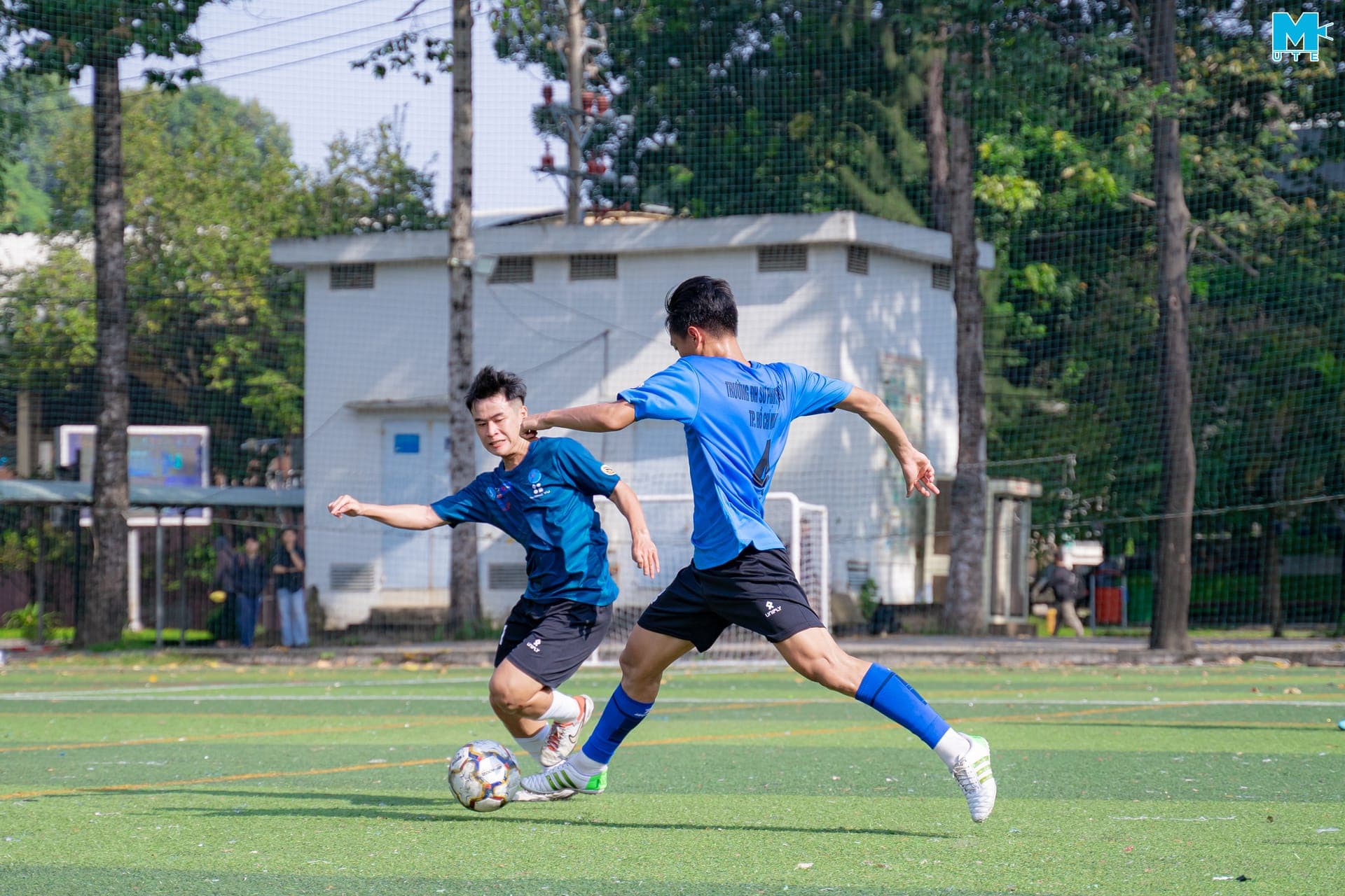 Thể thao sinh viên